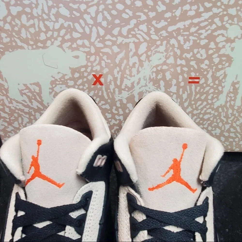 Sz 13 Air Jordan 3 Retro 